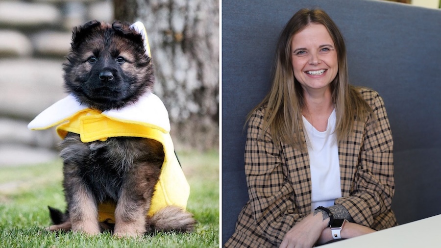 Pups and public safety: how NZ Police comms cut through